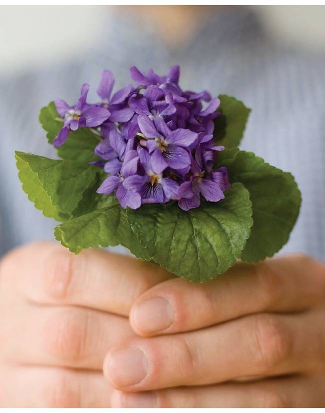 Wedding Flower Inspiration: Violets