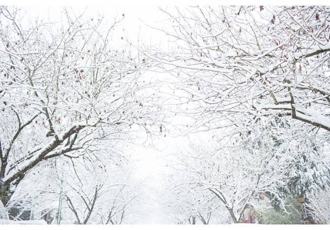 Winter Woodland Inspiration {Angela Hubbard Photography} 9