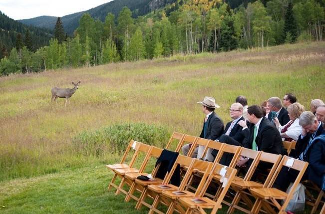 Rustic Beaver Creek Wedding At Beano S Cabin Brinton Studios