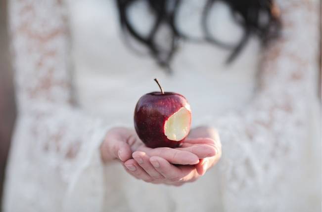 Snow White & The Huntsman Styled Wedding Shoot 14