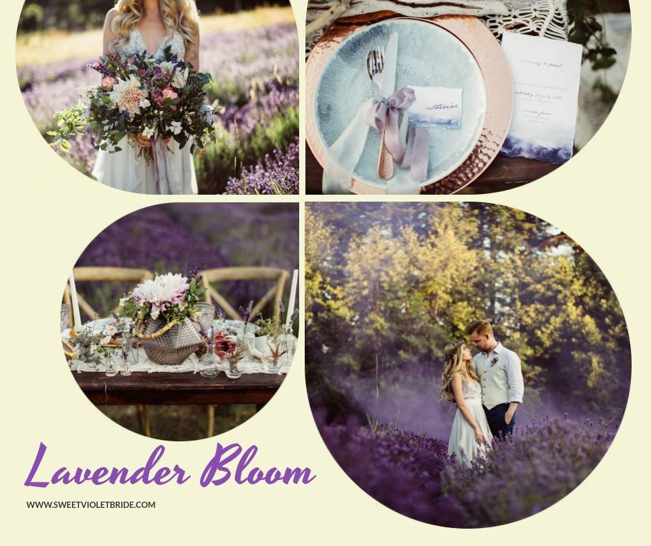 Styled Shoot: Lavender Bloom 287