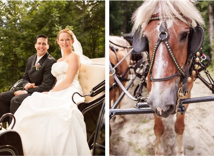 horse drawn carriage for weddings in vermont