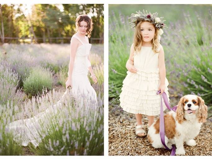 Love + Lavender: An Inspired Photo Shoot by KT Merry 16