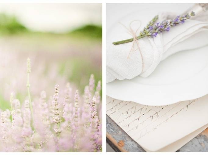 Love + Lavender: An Inspired Photo Shoot by KT Merry 14
