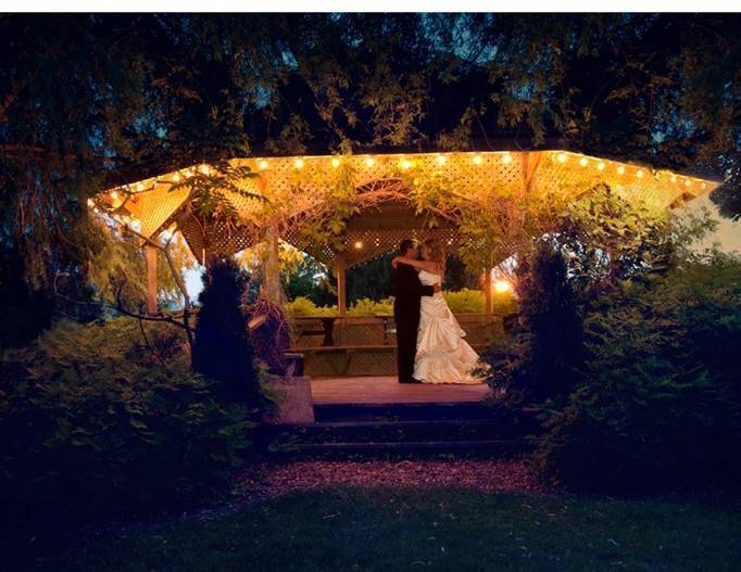 outdoor wedding lights