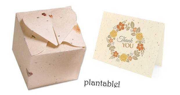 plantable favor boxes and plantable thank you cards
