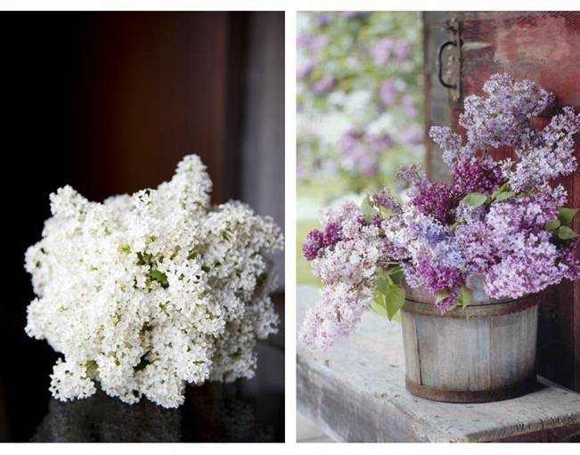 white lilac wedding bouquet