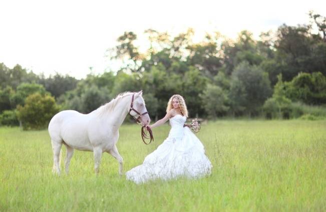 rustic wedding with horse
