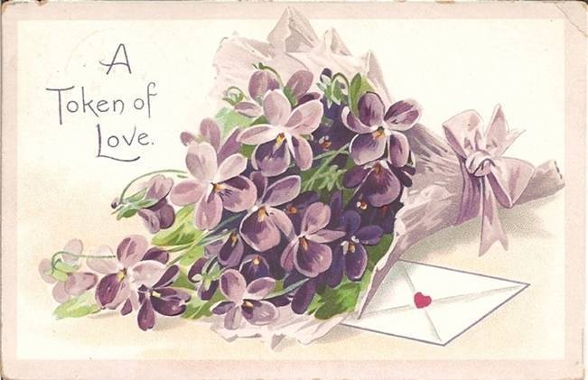 vintage violets postcard