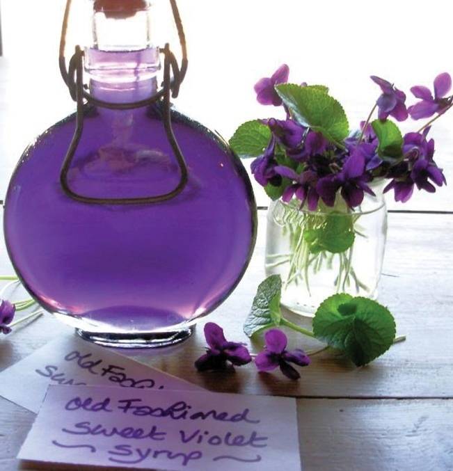 sweet violet syrup