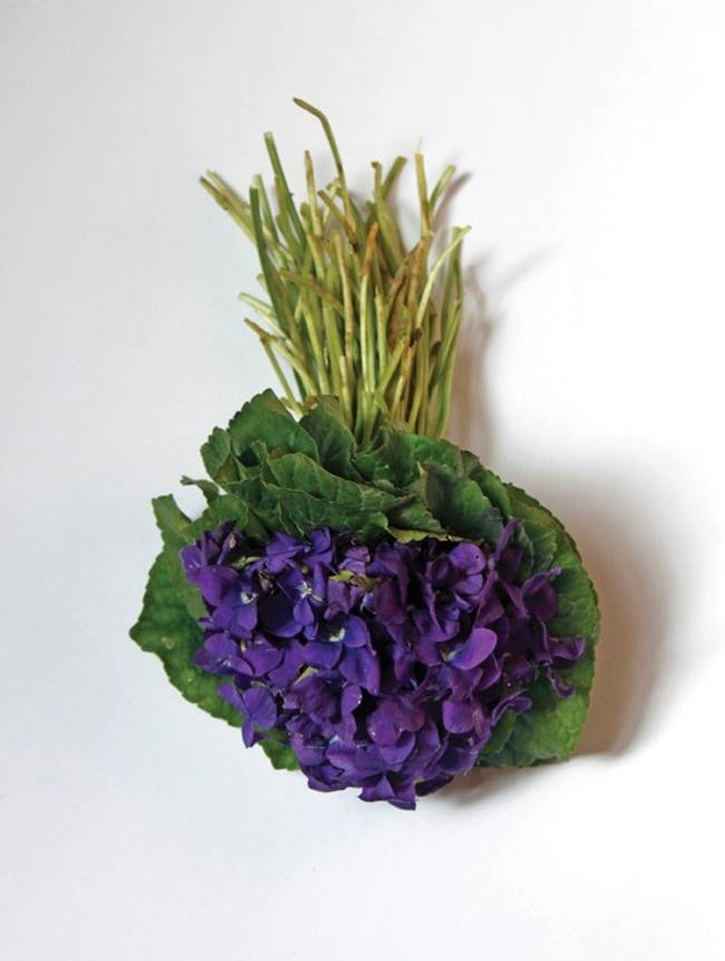 bouquet of violets