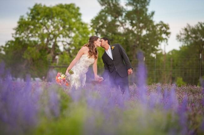 bride and groom in lavender field