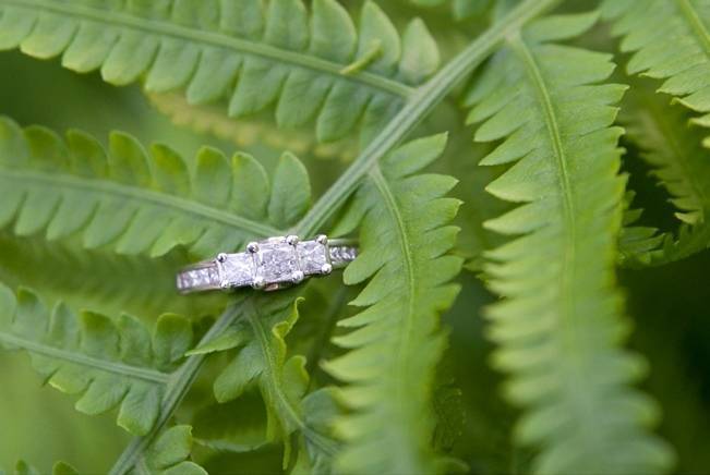 engagement ring on a fern