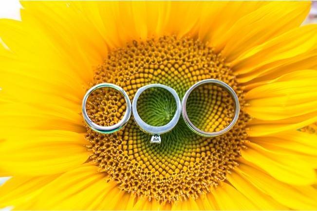 sunflower with wedding rings on it