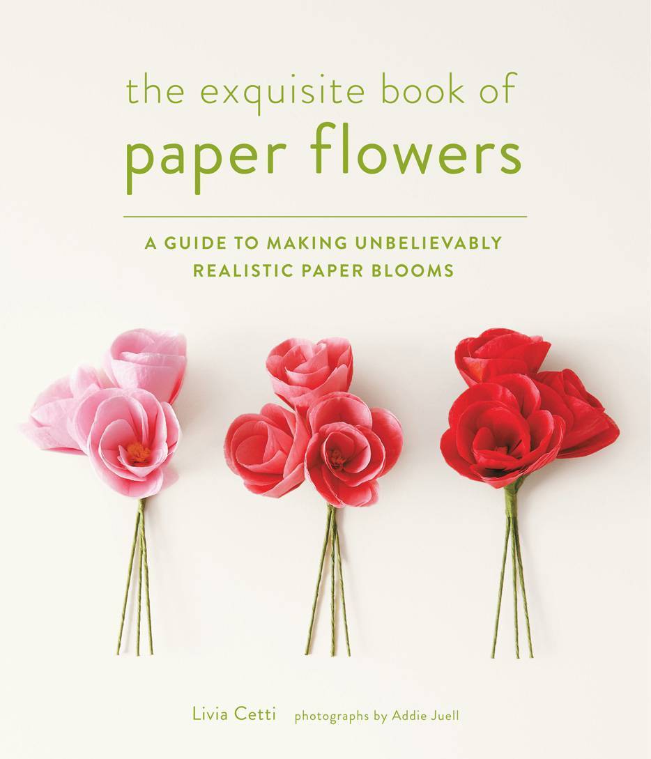 Book Review: The Exquisite Book of Paper Flowers