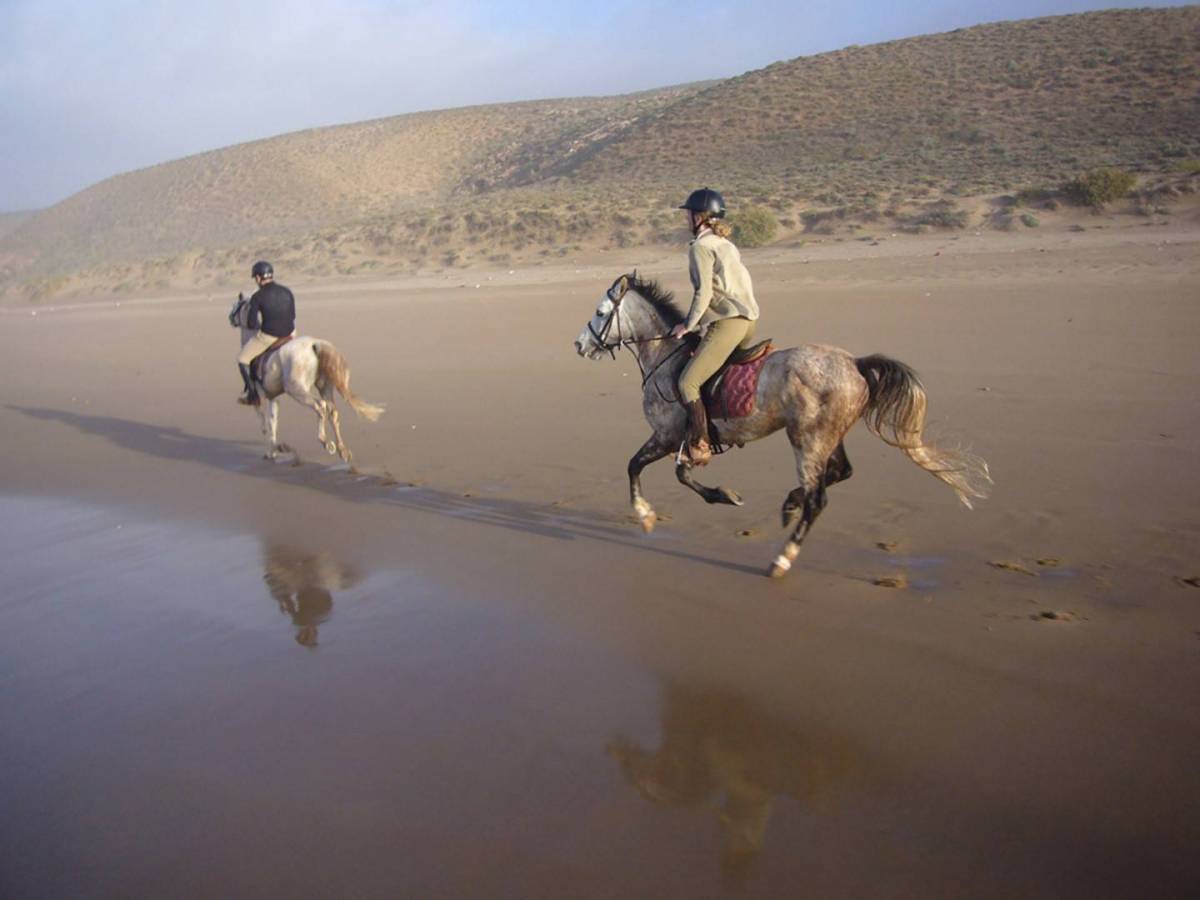 Ride into the Sunset: 5 Honeymoons on Horseback