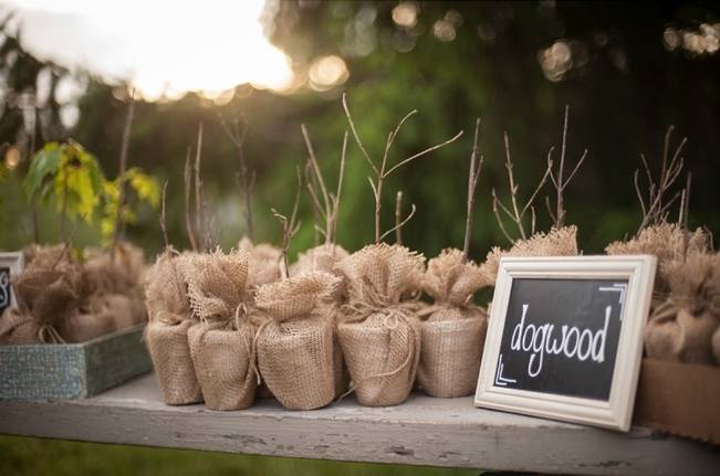 Turquoise + Purple Country Wedding {Bethany Snyder Photography} 22