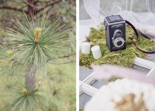 A Midsummer Night’s Dream Whimsical Styled Shoot {Captured by Corrin} 28