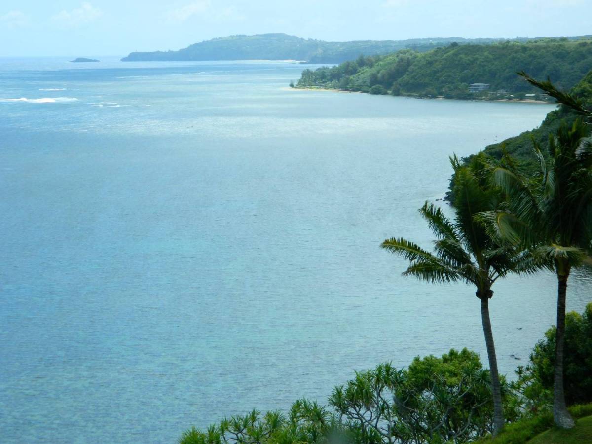 What if You Get Sick on Your Honeymoon?
