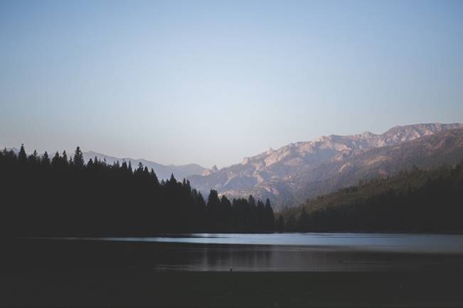 Rustic Sequoia National Park Wedding at {Carly Short Photography} 1