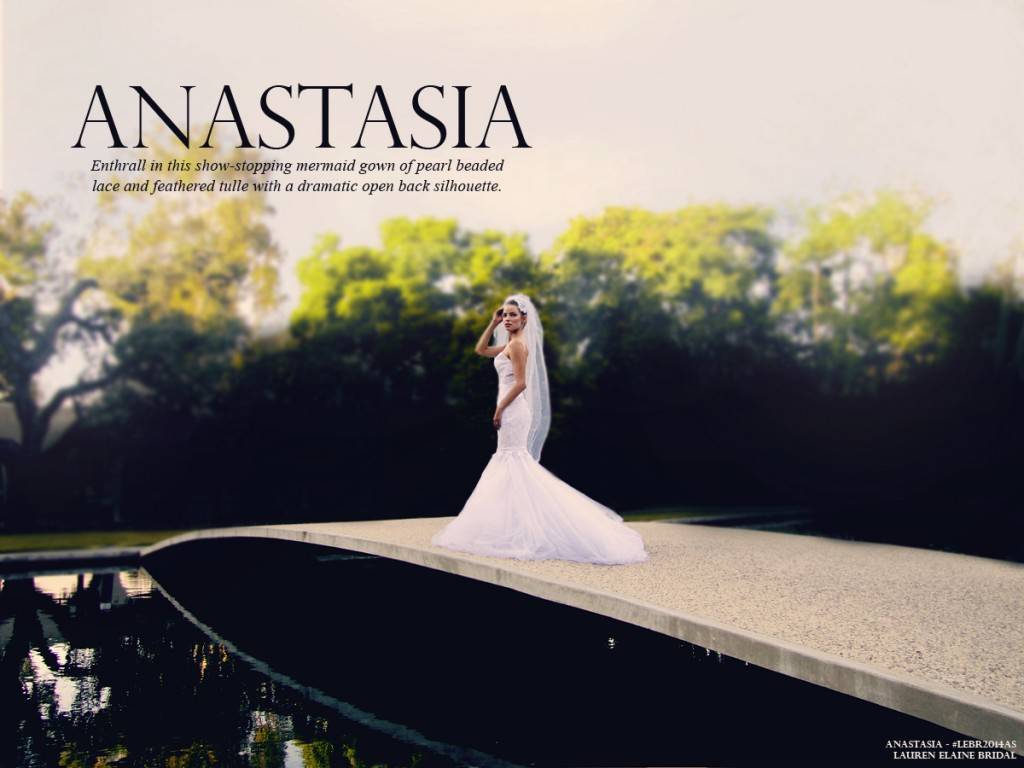 ANASTASIAlookbookcover