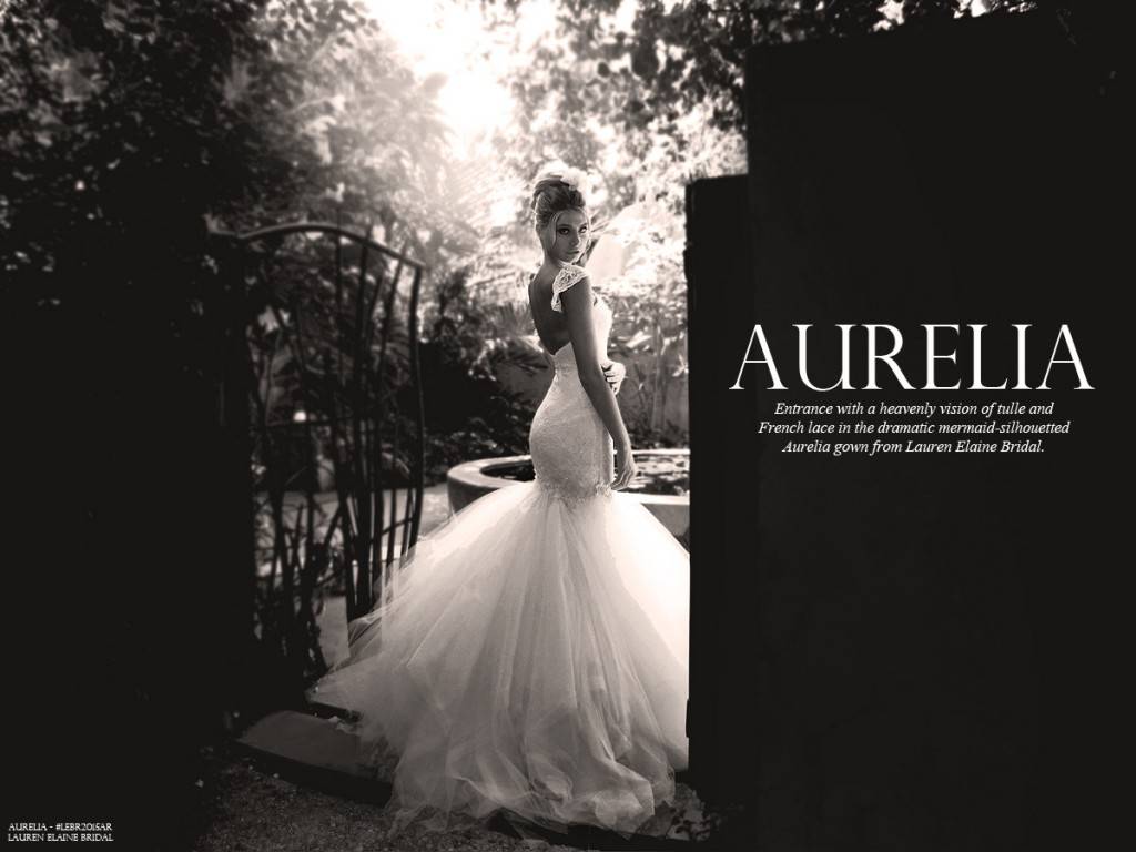 AureliaLookbookCover