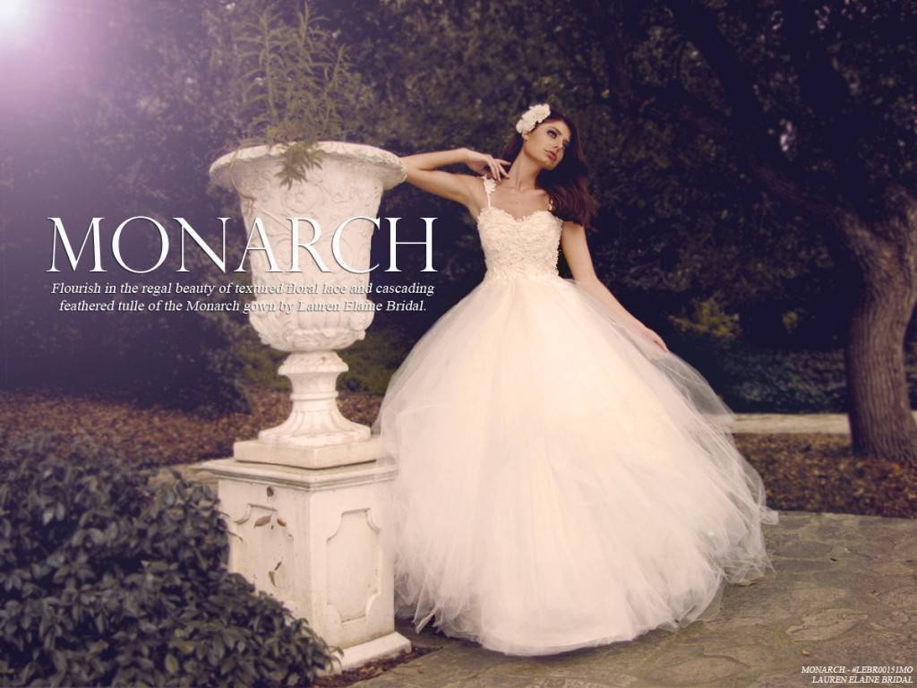 MonarchLookbookCover