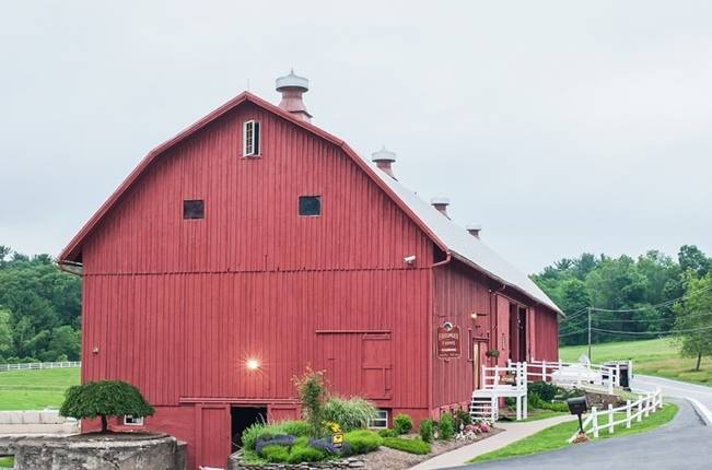 Rustic Pennsylvania Sunflower Wedding at Friedman Farms 17