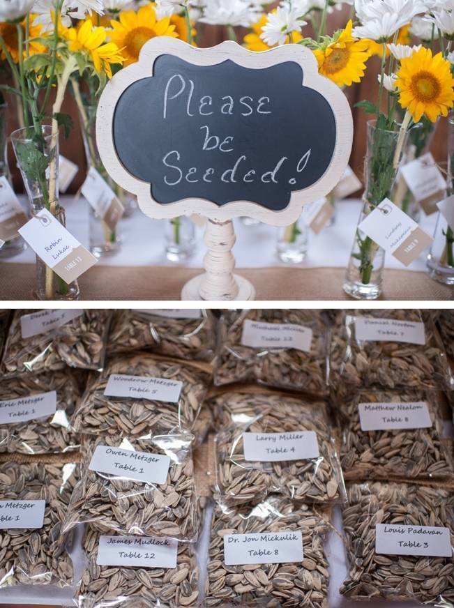 Rustic Pennsylvania Sunflower Wedding at Friedman Farms 26