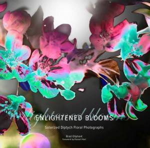 Enlightened_Blooms