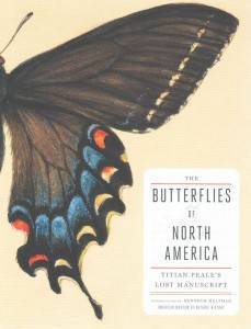 butterflies of north america