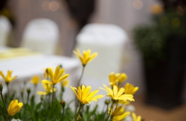 Yellow and Grey Prairie Wedding in Alberta, Canada 21