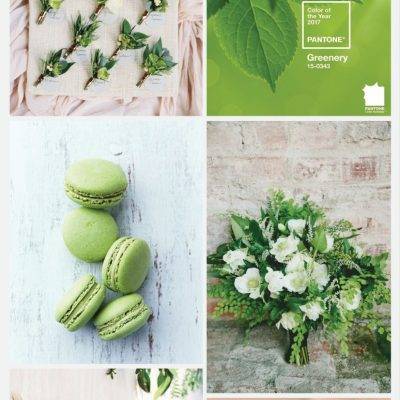 Wedding Color Palette: Greenery {Pantone Color of 2017} 210
