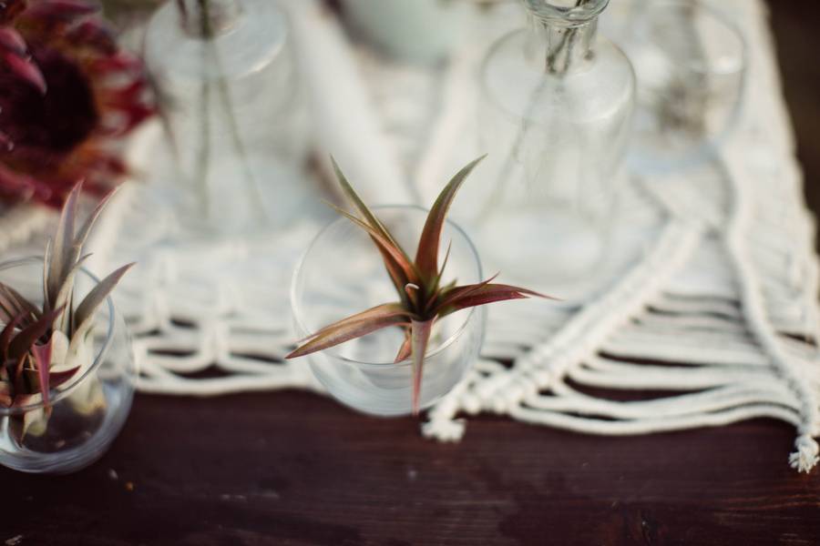 Styled Shoot: Lavender Bloom 131