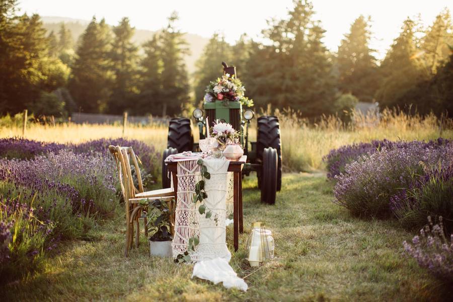 Styled Shoot: Lavender Bloom 129