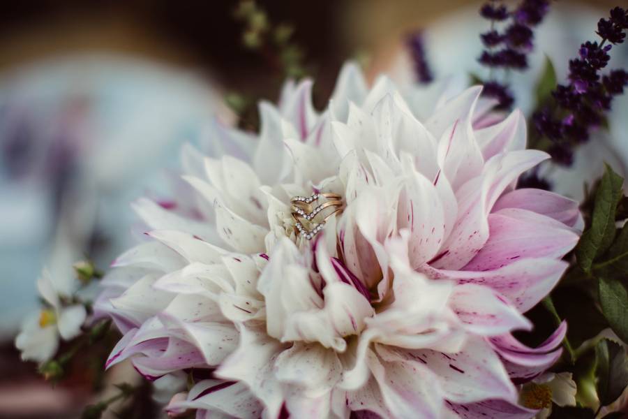 Styled Shoot: Lavender Bloom 99