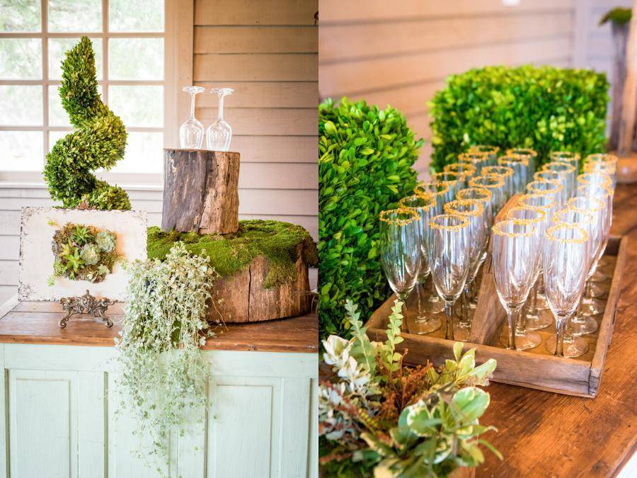 A Green and Organic Affair 23