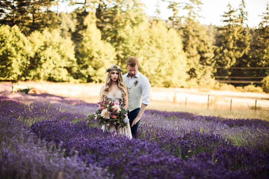 Styled Shoot: Lavender Bloom 115