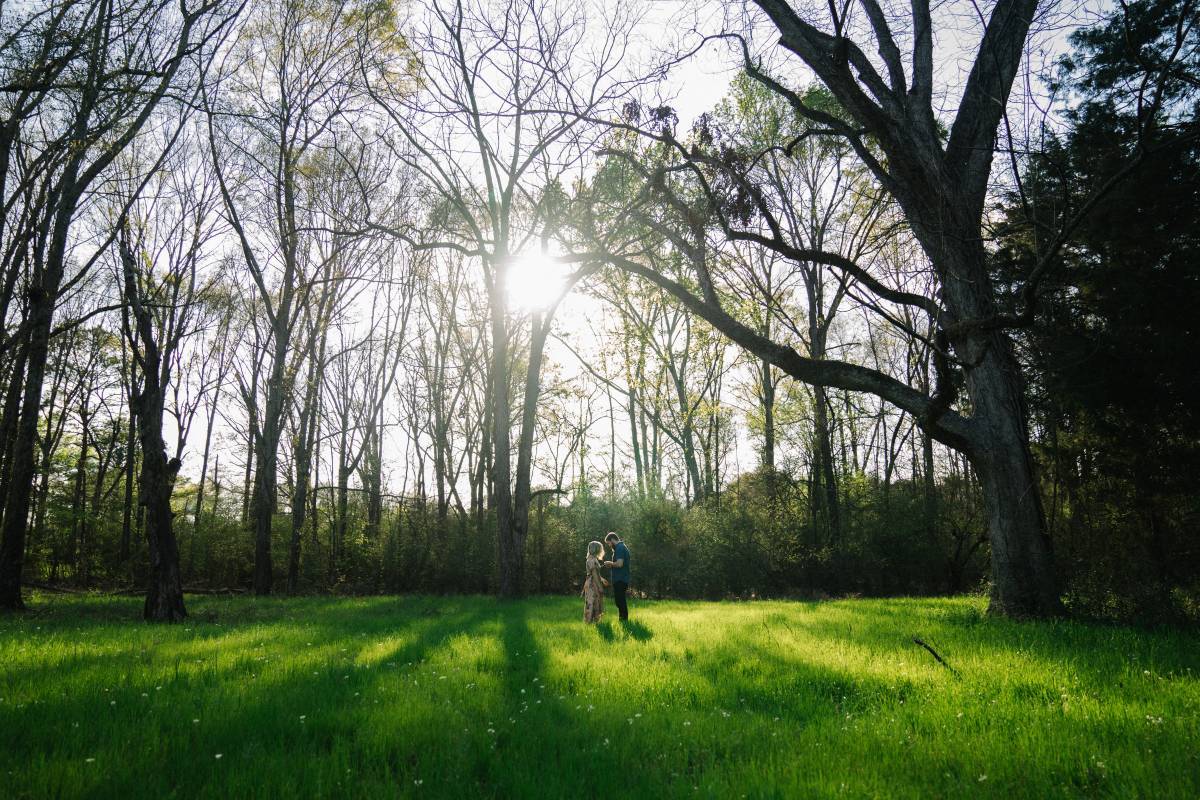 Here’s How You Can Pull Off a Nature-inspired Engagement Shoot 35