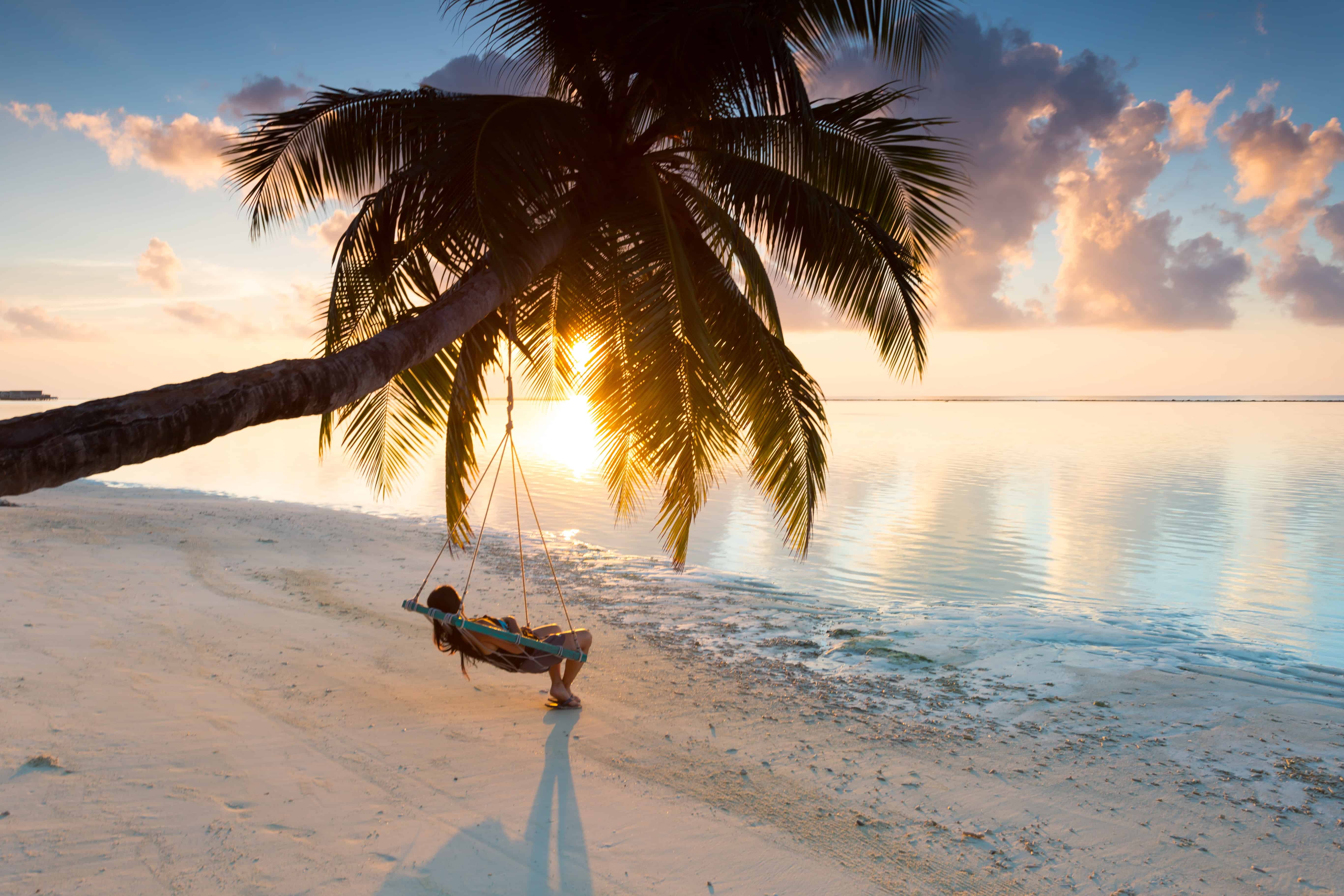 person swinging on hammock hanged on coconut tree near sea