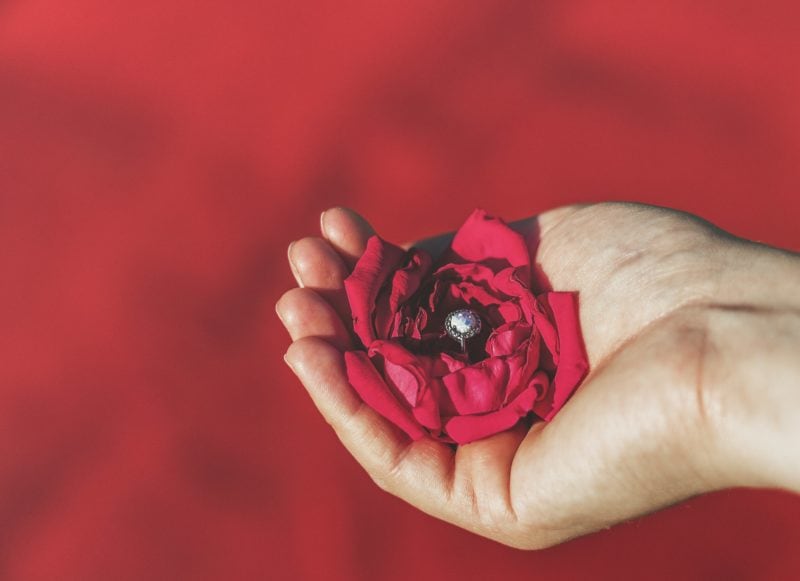 Free Person Holding Red Petaled Flowers Stock Photo
