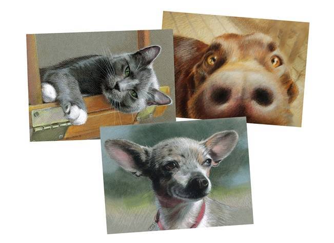 New Hampshire Pet Portrait Artist