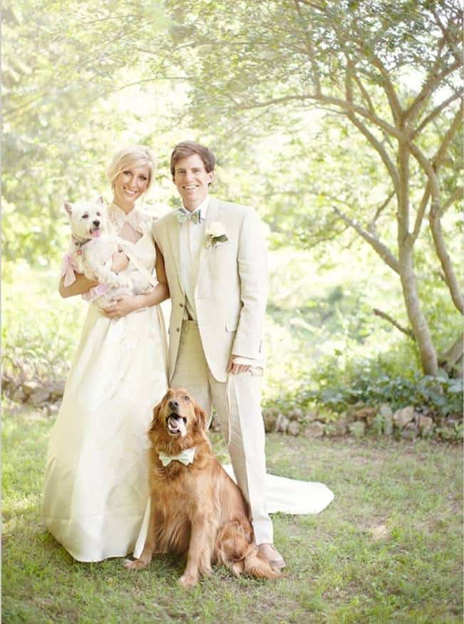 bride and groom with their dogs