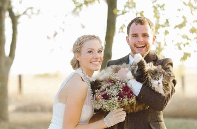 bride and groom with cat