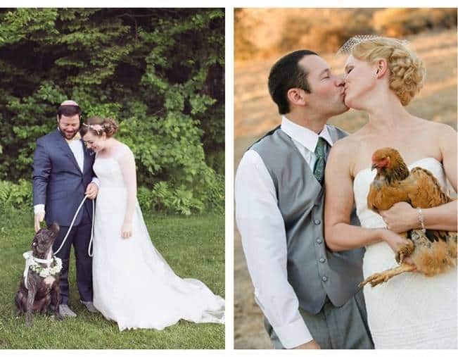 farm wedding with chickens