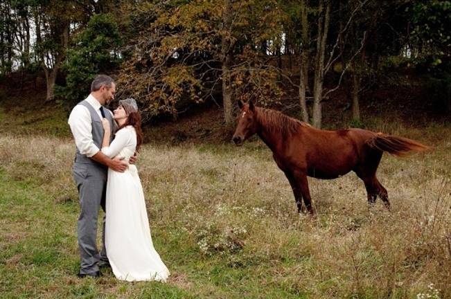 bride in groom in field of horses