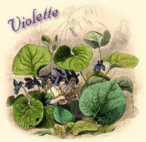The Scent of Violets: A Review of 8 Violet Perfumes 26