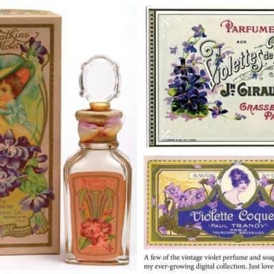 The Scent of Violets: A Review of 8 Violet Perfumes