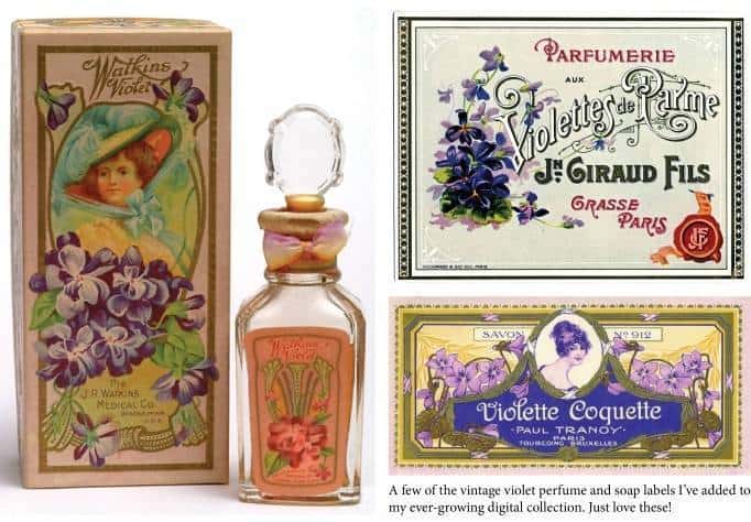 Perfumes with best sale violet notes